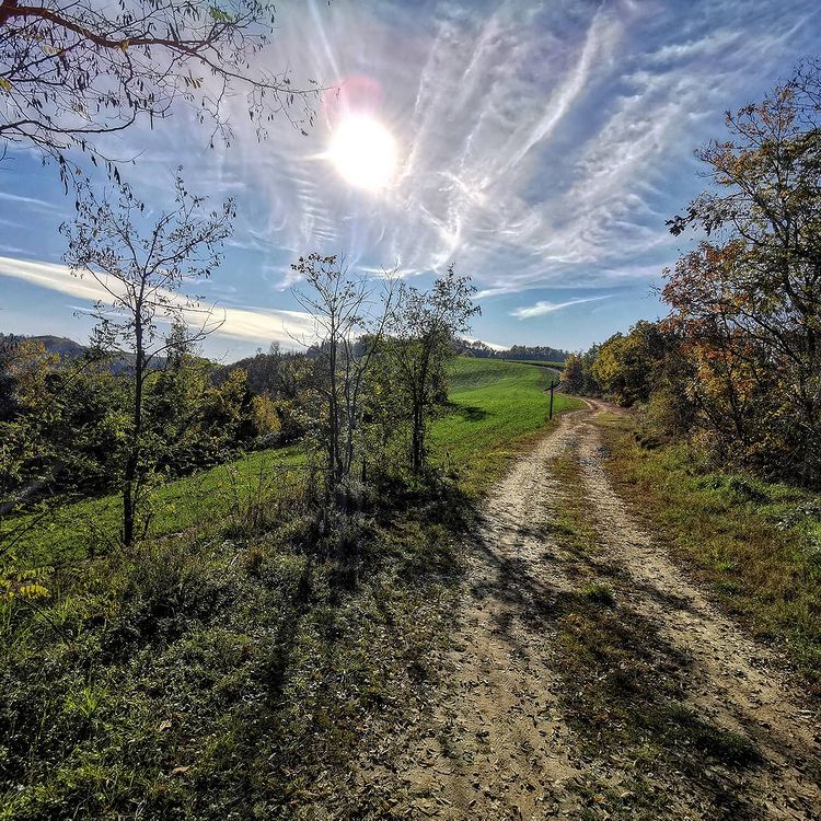 Sentiero verso Gorgognano in Val di Zena